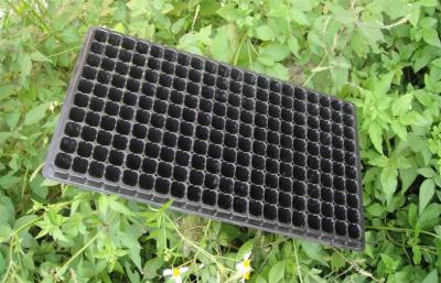 China Seed Grow Plastic Germination Trays Garden Vegetable Hydroponic Trays for sale