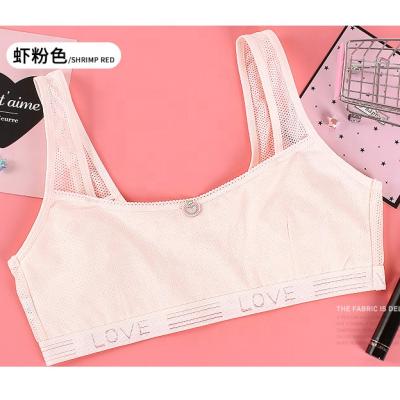 China Viable Stage 1 Girls Cotton Training Bra Puberty Raising Bra Teenage Girl Beautiful Girls Cotton Bra for sale