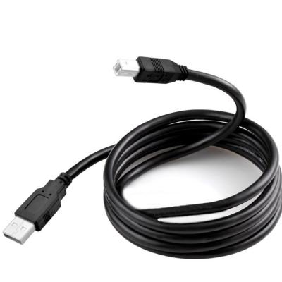 China Printer Cable - Camera USB 2.0 Port A-Male to B-Male Cord Data Cable for sale