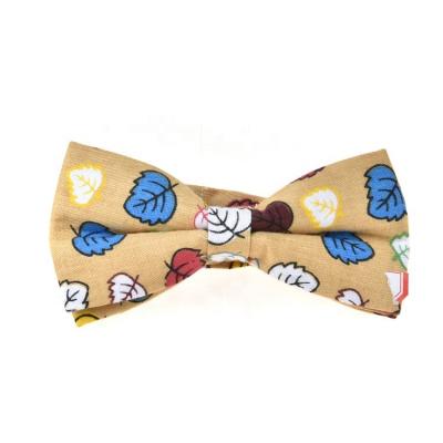 China Dobby Cartoon For Size Beer Child Wholesale Customized Ties With Leaves Design Custom Cheap Cotton Leaf Print Bow Tie Boys Kids for sale