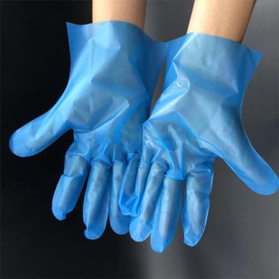 China China Factory Disposable Food Grade Blue Plastic Gloves Machine Thermoplastic Elastomer Tape Gloves for sale