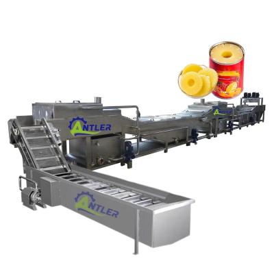 China High Efficiency Easy Operate Complete Fruit Canner ANTLER In Syrup Production Line Fruit Canning Machine for sale