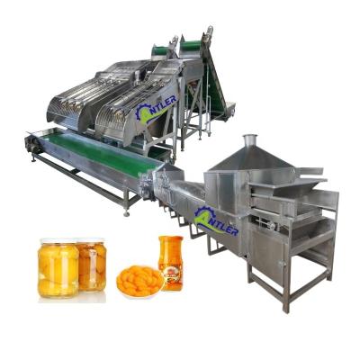 China High Efficiency Easy Operate Factory Price Canned Cherry In Syrup Processing Machine / Fruit Canning Plant for sale