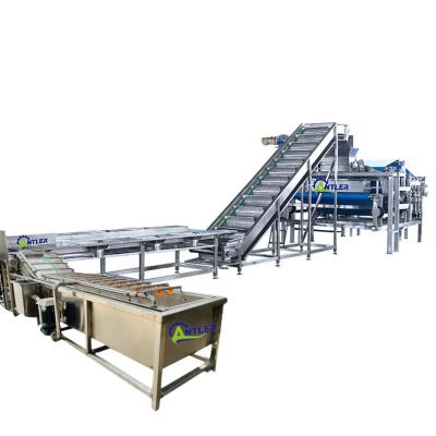 China High efficiency easy operate complete installation good quality fruit processing concentrate juice pineapple juicing line for sale