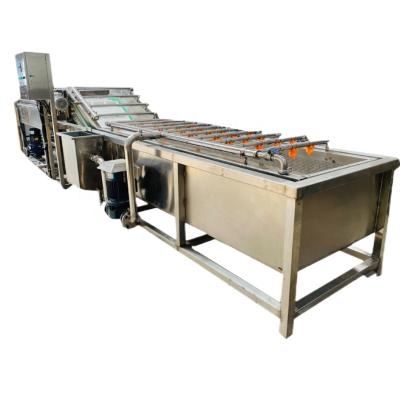 China High Efficiency Easy Operate Fully Stainless Steel Shrimp Fish Washing Machine for sale