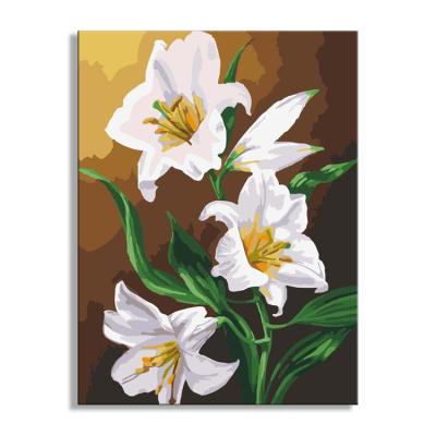 China 2021 Personalized Customization Factory Direct Sale Oil Painting Diy Digital Painting By Numbers for sale