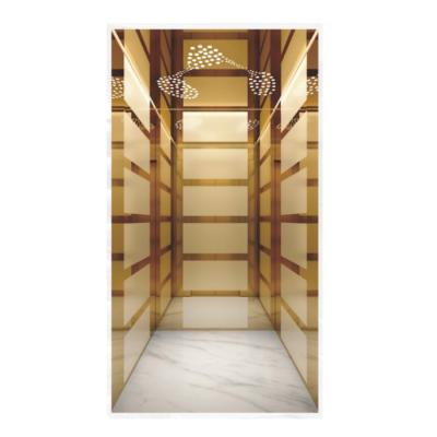 China Global Design Luxury Gold Hotel Use Safety FUJI Factory Home Villa Elevator 4 People Elevator for sale