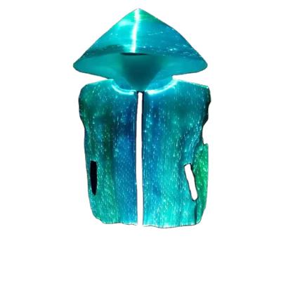 China Fiber personality trend jacket smart luminescent hoodie customized by RAYERA New-strange luminescence manufacturer for sale