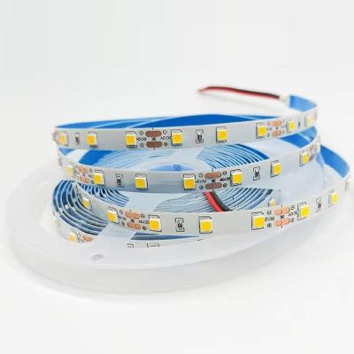 China Residential Cheap Price 4040 SMD Led Strip 60leds 12V 24V 5M IP20 Led Strip Light for sale