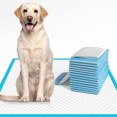 China Free Sample Super Absorbent Leak Proof Disposable Dog Stocked Pee Pads 20