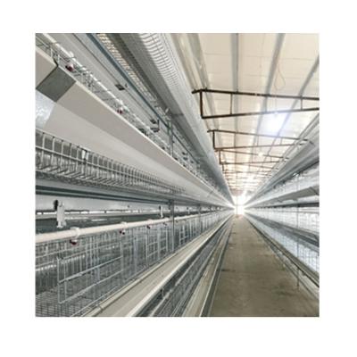 China Automatic Poultry Farm Chicken Farm Animal Feeder Poultry Feeding System For Broiler Chickens for sale