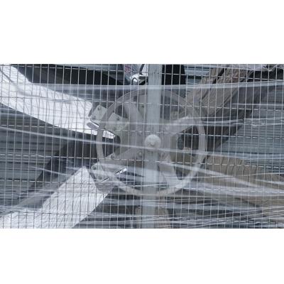 China Industrial Equipment China Manufacturer Ventilating Dairy Farm Exhaust Poultry Fan Exhaust for sale