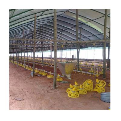 China Poultry Farm Good Price Screw Feeding System For Poultry Chicken Farm Nipple Feeder for sale