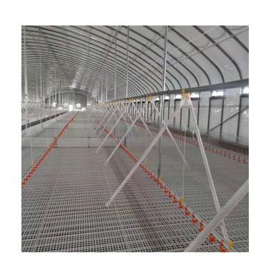 China Poultry Farm Automatic Animal Spiral Chicken Feeding Tray System Poultry Farm Equipment For Broiler Raising Ground for sale