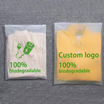 China Recyclable Custom Matte/frosted Biodegradable Plastic Packaging Zip Lock Bags Clothing Swimwear Zipper T Shirt Bags With Logo for sale