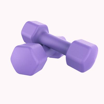 China Universal Gym Workout Color Cast Dumbbell Set Uses Vinyl Polybutadiene Soaked Dumbbell Cheap Dumbbell Pink Hexagon Rubber Coated Dumbbell for sale