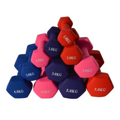 China 2021 Universal OEM Family Fitness Men and Women 1kg 2kg 4kg 5kg Chloroprene Fitness Dumbbell for sale