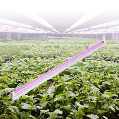 China Starting From Seed Led Growing Light Full Spectrum T5 T8 18W 24W 36W Led To Grow Light for sale