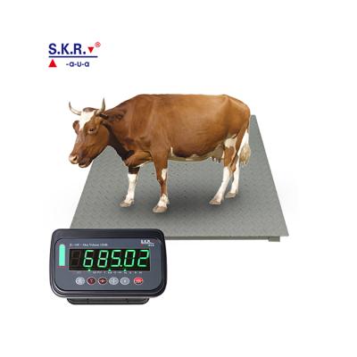 China Adjustable Electronic Livestock Weighing Scale 2000kg Angle Livestock Animal Scale for sale