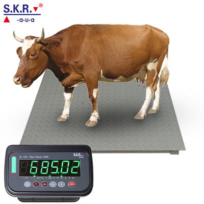 China Industral Scale 1000kg Floor Livestock Scale 1000kg Electronic Animal Scale Sheep Camel Pig Cattle Camel Farm for sale