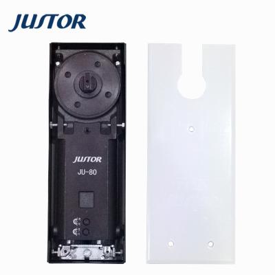 China Modern New Launch Promotional Glass Door Floor Hinge Steel Floor Springs for sale