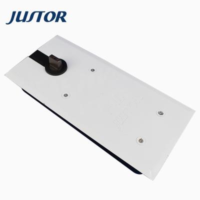 China Italy Quality Modern Quality Double Action Standard Soft End 120KG Single Cylinder Floor Hinge for sale