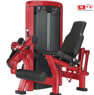 China Universal fitness leg extension machine. Power Gym Exercise Equipment Leg Extension For Leg Workout for sale