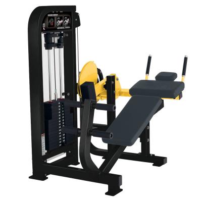 China HTFitness Universal Gym Equipment Home Gym Machines Strength Training Pin Loaded Abdominal Hammer Strength Machine for sale