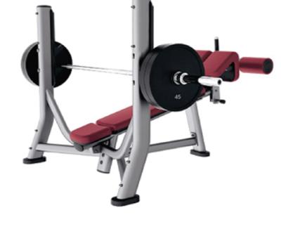 China High Quality Commercial Fitness Equipment Eighti Life Drop Bench Chest Press Adjustable Weightlifting Bench and Rack for sale