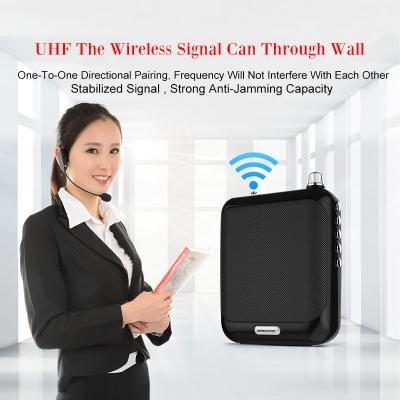 China Shenzhen NEWGOOD TF USB U DISK SD CARD UHF/2.4G WIRELESS PA AMPLIFIER BOOSTER SPEAKER System for sale