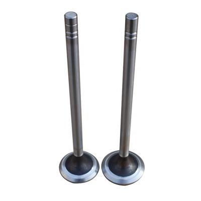 China Competitive price with good quality engine valve from chinese manufacturer for CAT 3408 40*8*174.4mm for sale