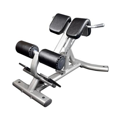 China modern commercial gym equipment back extension machine/roman chair fitness equipment for sale