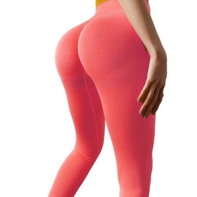 China 2021 High Waist Fitness Wear And Yoga Pants Factory Directly Selling OEM Sportswear Fitness Clothing Breathable Women for sale