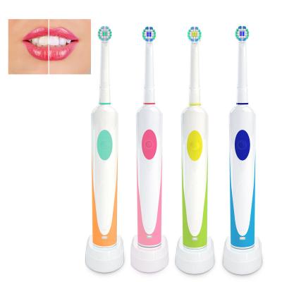 China Tooth Cleaning Automatic Rotating Oral Cleaner Electric Toothbrush Appliances Care Toothbrush Kit Cepillo De Dientes Ultrasonic Teeth Cheap for sale