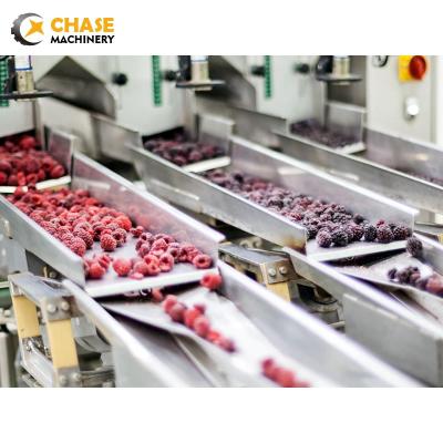 China Fruit Processing Strawberry Juice Jam Puree Making Concentrated Filling Production Processing Plant for sale