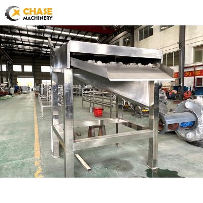 China Industrial Sugar Cane Juice Extractor Making Fruit Processing Machine for sale