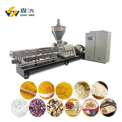 China Full automatic system artificial rice 200-300 kg/h plant pulverizer cost to India for sale