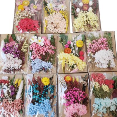 China Natural touch pressed flower material package diy flower for aroma candle photo frame dry flower for sale