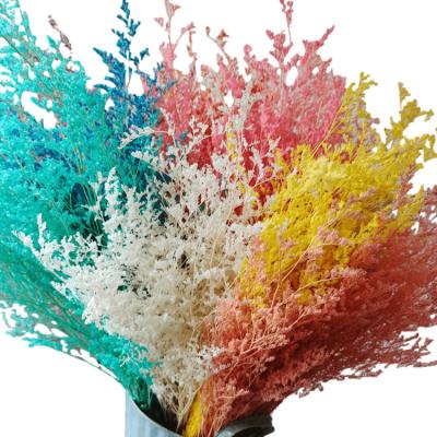 China Natural touch preserved flower lover's grass a bunch of 70 grams of household flower arranging decoration, office decoration party decoration for sale