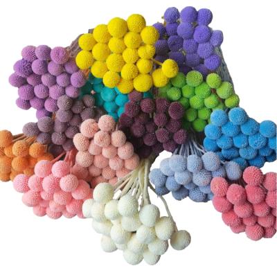 China Natural contact flower preserved billy buds per group of 10 household flower stems arranging decoration, office decoration party decoration for sale