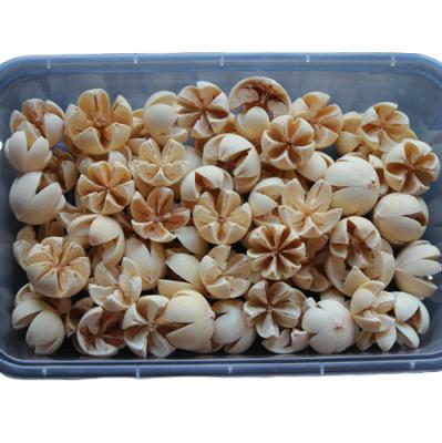 China For DIY Pistachio Flower Material Dry Flower Decoration for sale