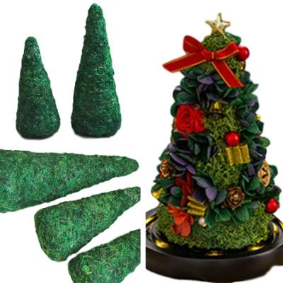 China Preserved Flowers Preserved Flower Gift Moss Christmas Tree Model For Christmas Decorations Christmas Gifts for sale