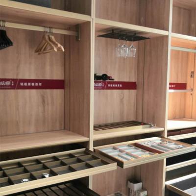 China Home Furniture Customized Wooden Melamine Wardrobes Bedroom Shoe Cabinet for sale