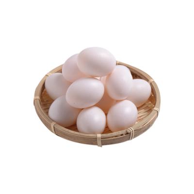 China Solid White Plastic Easily Assembled Pigeon Egg Products for sale