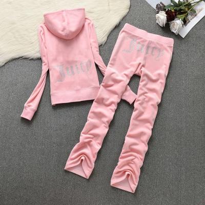 China Velvet Anti-Static Fashion Casual Women's Suit Warm Hooded Straight Pants Two-Piece Set for sale