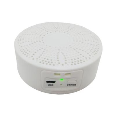 China PORTABLE Portable Air Purifier Intelligent Small and Portable Air Ozone Purifier for sale