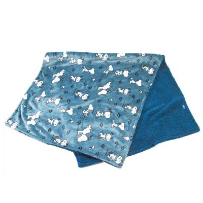 China Anti-Pull High Quality Hot Selling Super Soft Flannel Blanket Thin Blankets Air Conditioning Blankets for sale