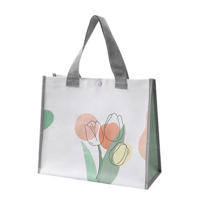 China Double Color Handled PP Or PE Woven Polypropylene Laminated Packing In Shopping Bags for sale