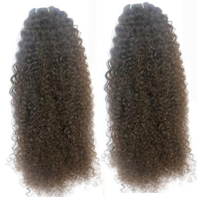 China New Style Curly Virgin Malaysian Curl Hair Weaves Natural Curly Hair Extensions Kinky Curly Hair Extensions for sale