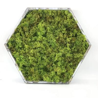 China UV-Resistant and Flame Retardant Proof New UV Safe PE Plastic Decorations Green Vertical Fire Retardant Artificial Wall Plant for sale